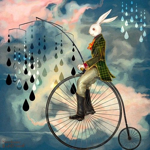 8c9a0dfc754349a408427cfeafcc017f