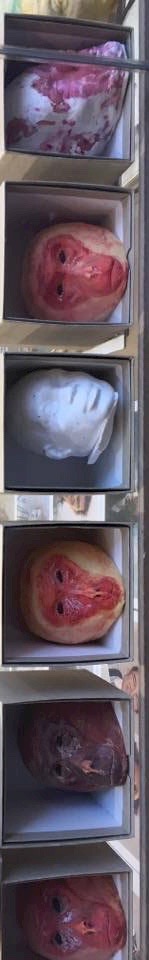 16117218_1731677497148462_61870567_n-1