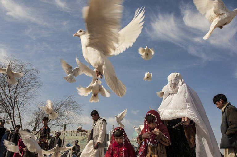 C-fy44rXsAAEVJk.jpg-large