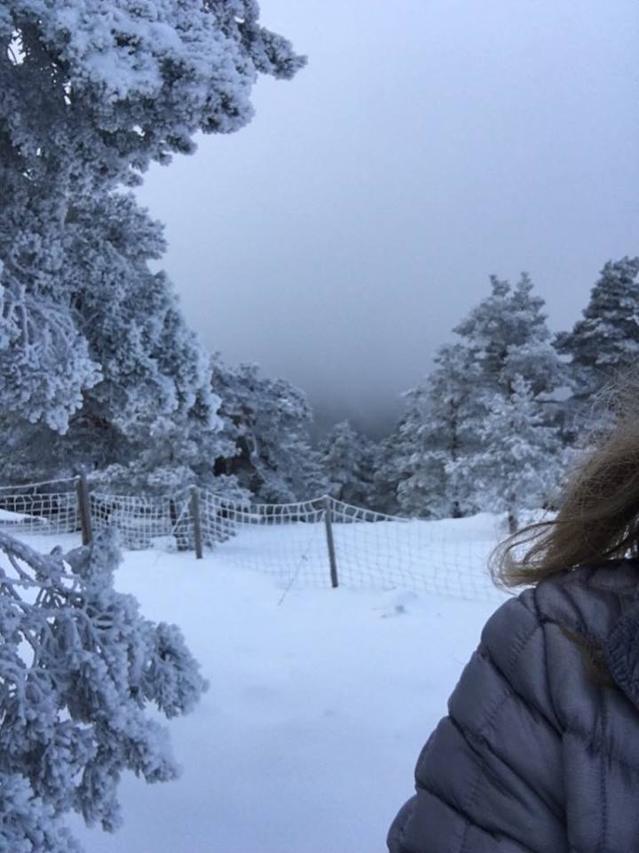 27780988_1931504703832406_2027383214_n