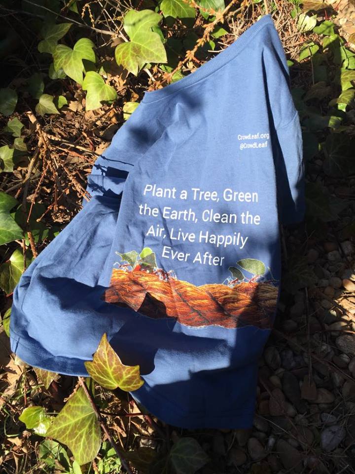 28383542_1944396825876527_1801738_n