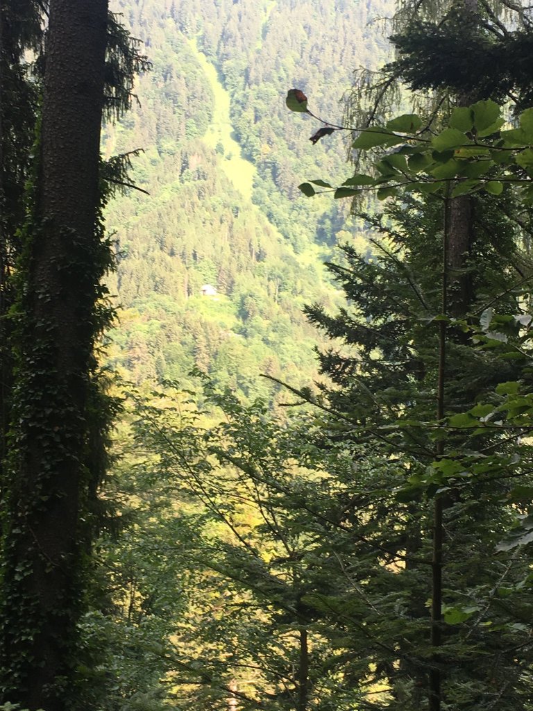 DiU-qfAWkAAXx1c.jpg-large