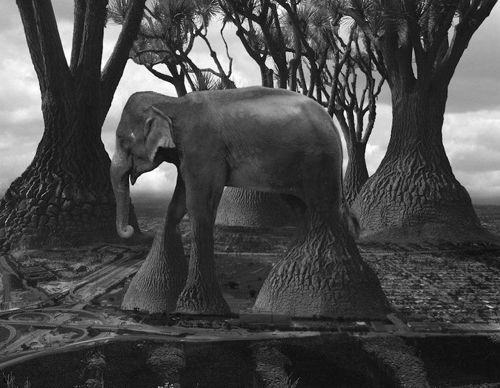 Thomas_Barbey_surrealismo_4